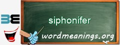 WordMeaning blackboard for siphonifer